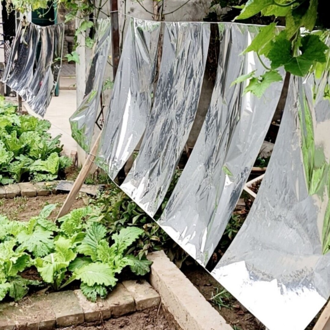 反光膜增温增色地膜增温补光果树农用反光膜新款暖棚纸幕花卉果园