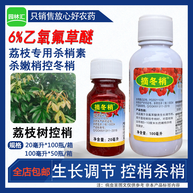 摘冬梢荔枝专用控梢杀梢素6%乙氧氟草醚荔枝杀冬梢控梢控旺抑梢药