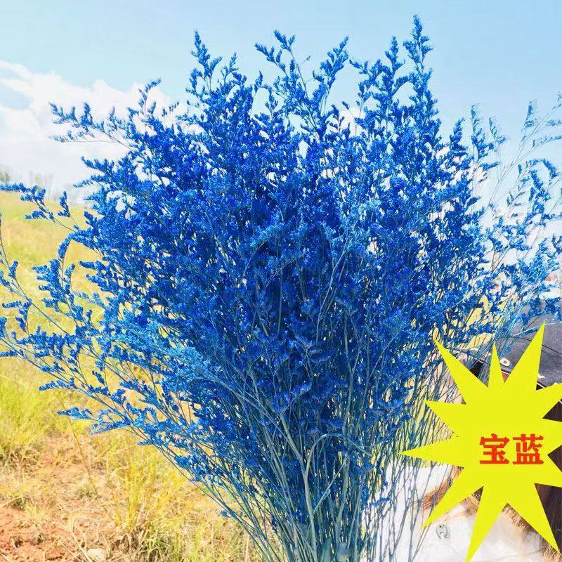 情人草鲜花花束满天星勿忘我水晶花客厅diy装饰配草花材新鲜染色