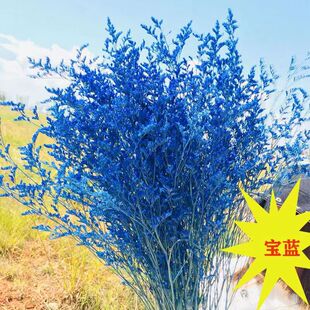 情人草鲜花花束满天星勿忘我水晶花客厅diy装饰配草花材新鲜染色