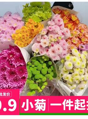 小雏菊鲜花云南基地直发网红小菊花家庭办公室花瓶插花水养花配花