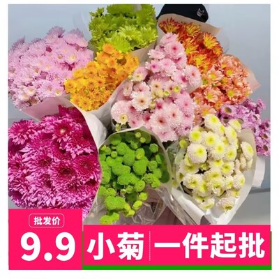 小雏菊鲜花云南基地直发网红小菊花家庭办公室花瓶插花水养花配花