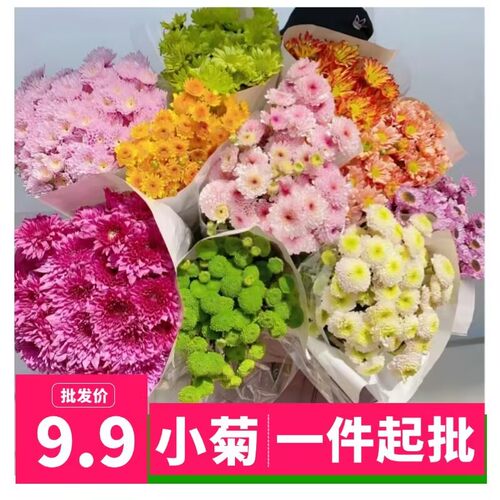 小雏菊鲜花云南基地直发网红小菊花家庭办公室花瓶插花水养花配花