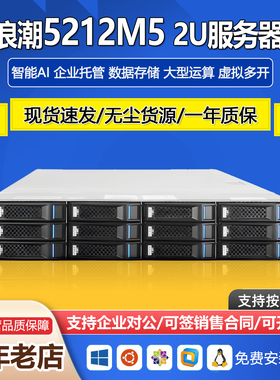 浪潮SA5212M5服务器12个U2盘位2U双路云计算AI深度学习GPU存储