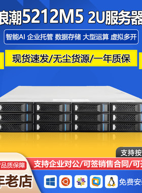 浪潮SA5212M5服务器12个U2盘位2U双路云计算AI深度学习GPU存储