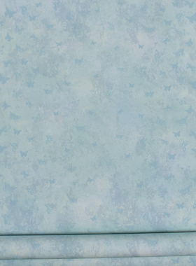 现货 美国原装进口壁纸 TOT47251 美式渲染蓝色蝴蝶 环保纯纸墙纸