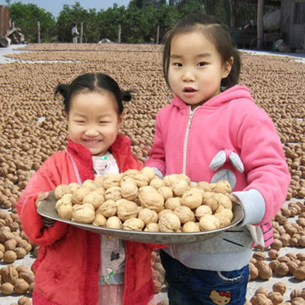 2025年新货自家种植新疆特产阿克苏温185纸皮核桃原味生500g手剥
