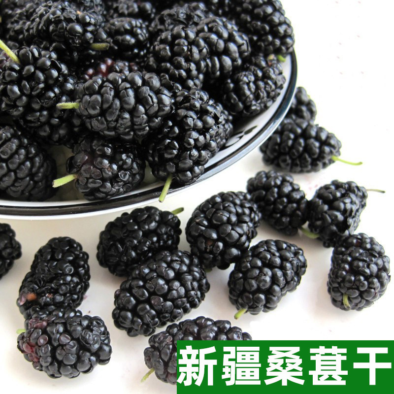 新货桑葚干新疆黑桑椹干果食用泡水大果无沙500克原产地发货