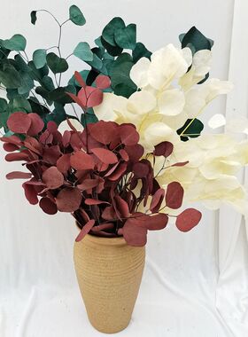 云南客厅装饰永生花苹果叶