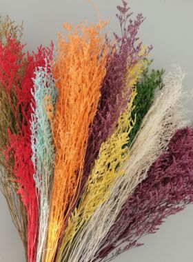 永生漂色情人草干花永生花保鲜花漂白染色天然真花材料花材装饰