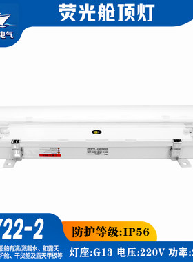 船用荧光舱顶灯ZYC/JCY22-2/2E/EF水密带防护网罩双管应急灯头20W