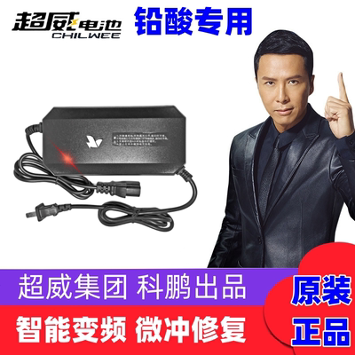超威充电器铅酸科鹏电动车智能脉