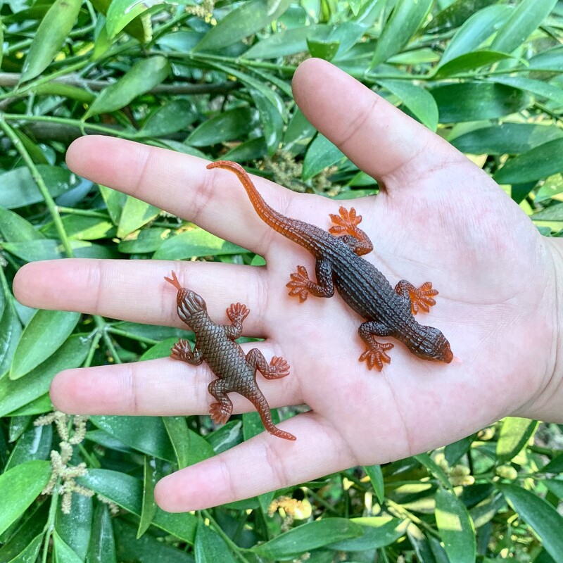 仿真壁虎辟祸蜥蜴超小迷你过家家儿童玩具静态吓人假昆虫动物模型