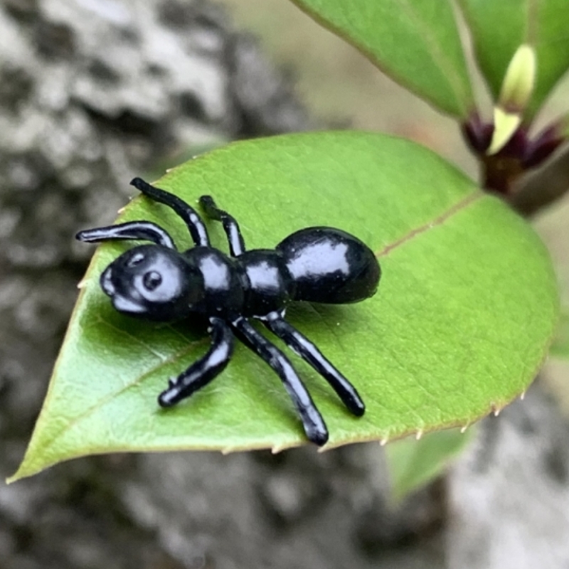 仿真昆虫大小号塑胶蚂蚁包邮