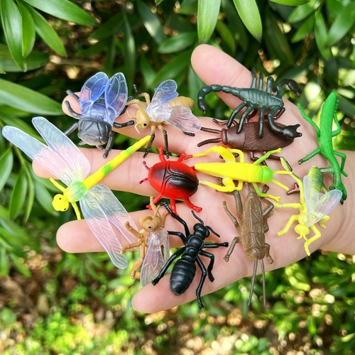 仿真昆虫12只套装塑胶