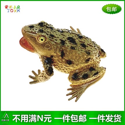 软胶仿真青蛙蛤蟆蟾蜍幼儿园儿童认知玩具益智小昆虫动物模型摆件
