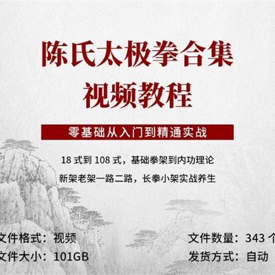 陈氏太极拳视频教程从入门到精通实战视频教程陈式太极老架新架