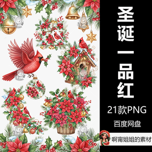 超高清手绘圣诞一品红花红衣主教手绘水彩插图PNG免抠设计素材新