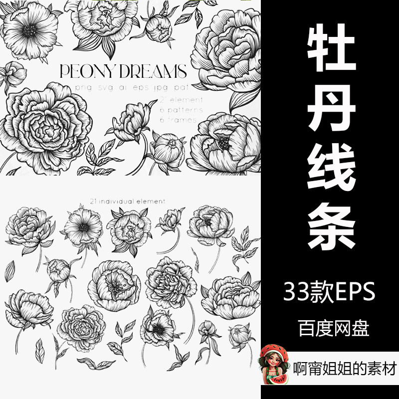 牡丹线条艺术手绘花卉花朵系列插画简笔画eps源文件设计素材新品