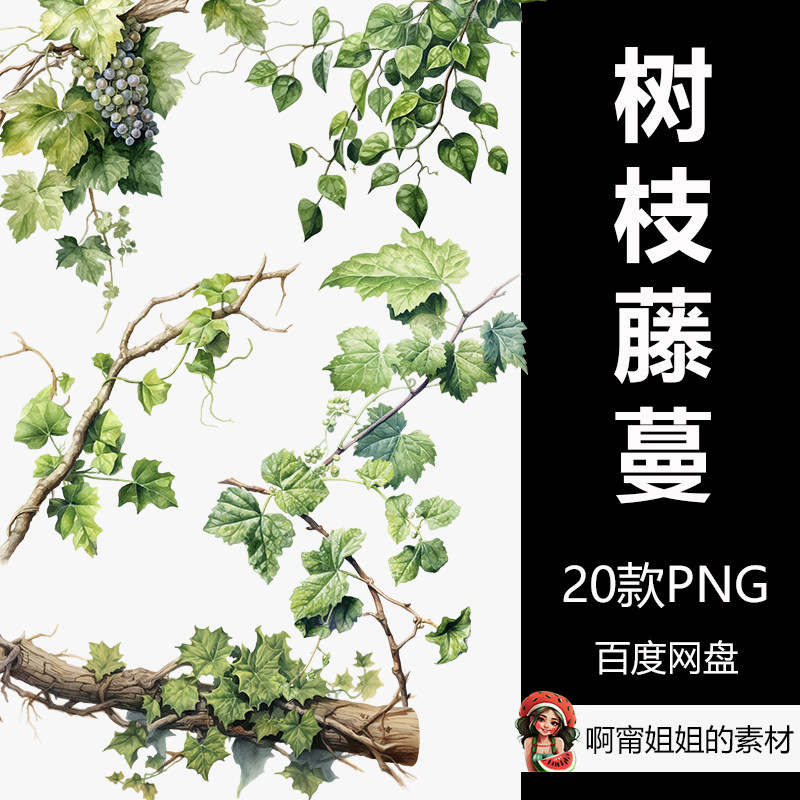 水彩树枝藤蔓葡萄藤支架剪贴画手绘插画png免抠设计素材高清新品