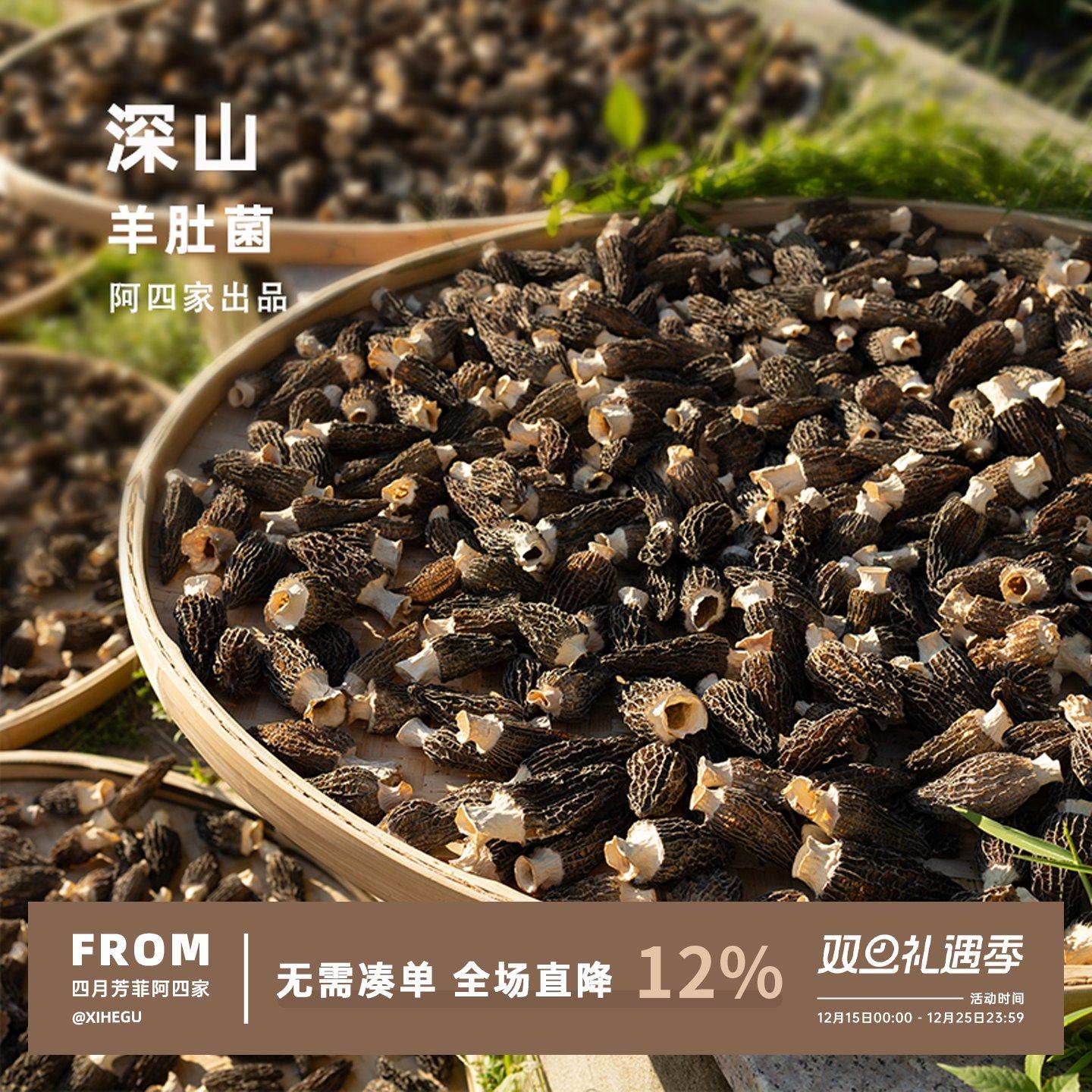 菌中软黄金，个大肉厚！