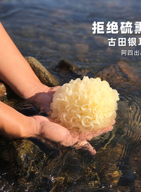 阿四出品|农家古田银耳干货 白木耳糯耳雪耳无硫桃胶莲子羹250克