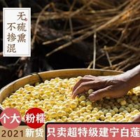Fujian jianning Steel YouJian Lotus White Lotus Seed