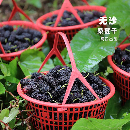 阿四农家桑葚干免洗无沙新鲜即食