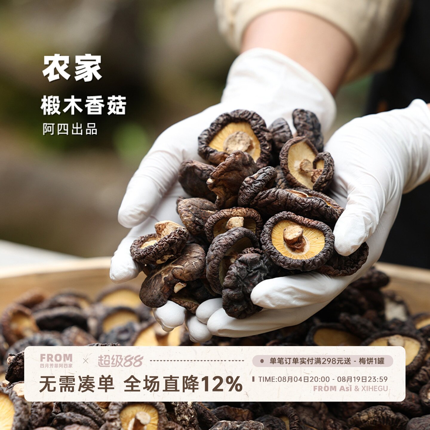户外自然生长的椴木香菇