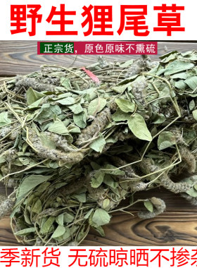 广东肇庆野生狸尾草无硫羊咩草
