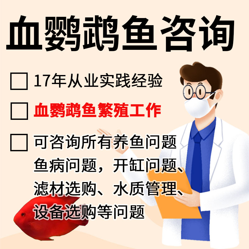 血鹦鹉鱼病咨询服务发财鱼咨询鱼病问题开缸过滤系统头洞烂身烂尾