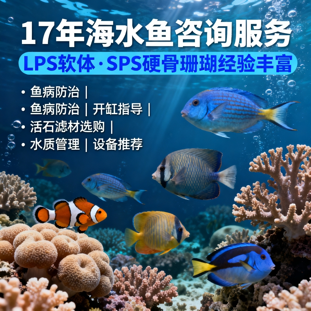 海水鱼缸咨询鱼病咨询鱼病医生白点病珊瑚咨询观赏鱼检疫活石开缸