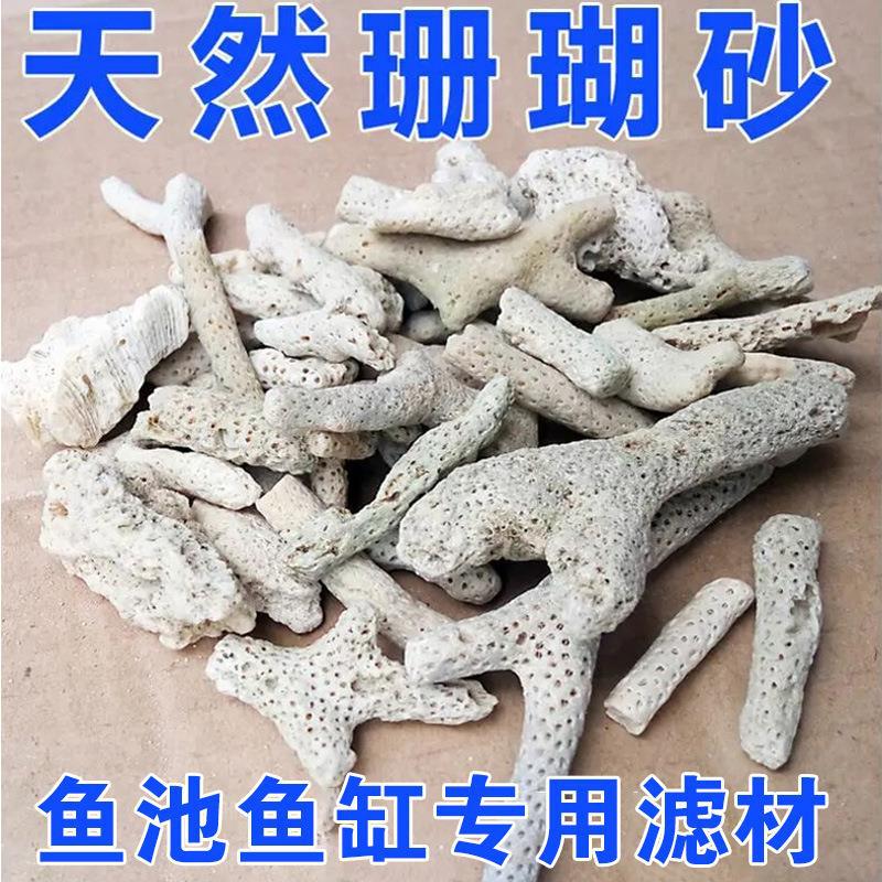 稳定PH水质鱼缸珊瑚石珊瑚骨大块条形锦鲤池鱼池珊瑚砂底滤材材料图片