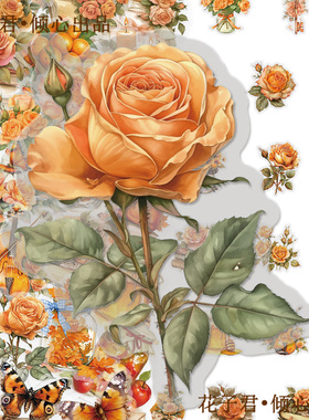 104张橙色花卉PET贴纸ins风高颜值精美浪漫治愈文艺手账素材贴画