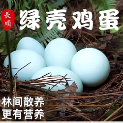 贵州长顺绿壳鸡蛋 林间散养土鸡蛋 现捡现发 新鲜营养孕妇儿童蛋