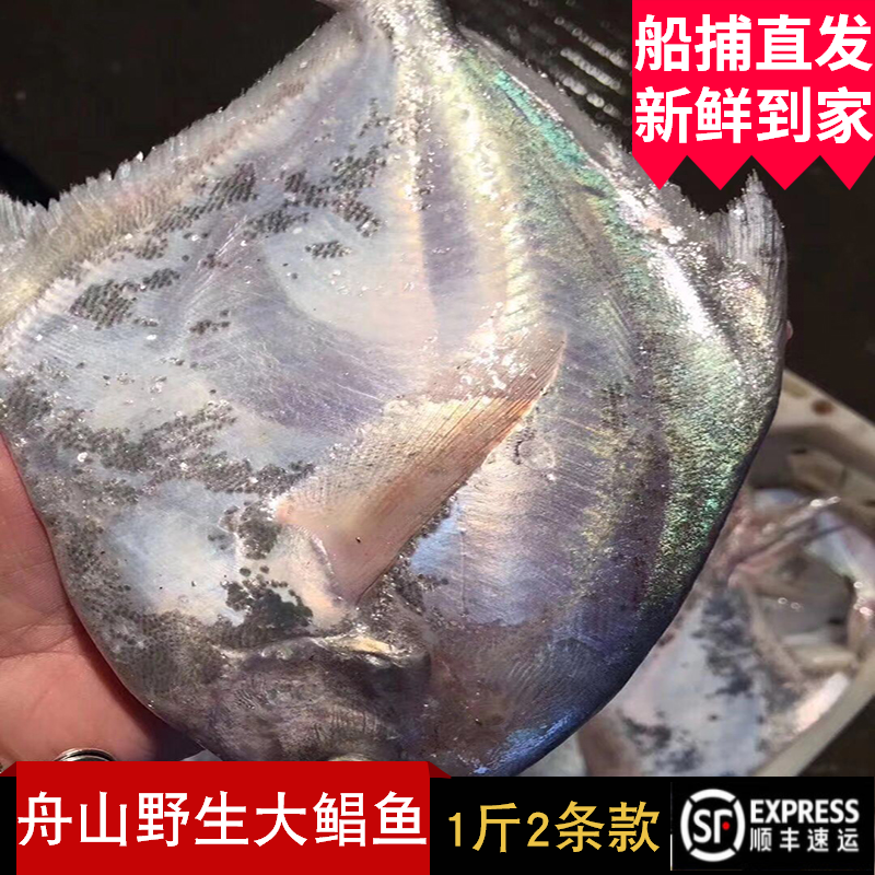 舟山野生东海银鲳鱼深海镜鱼新鲜大白鲳鲜活船捕平鱼仓鳊鱼1斤2条