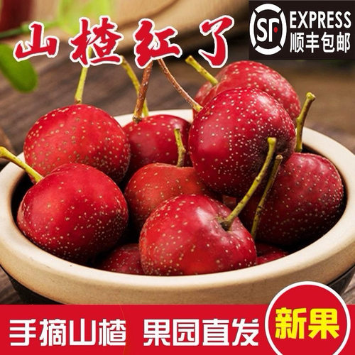 【顺丰包邮】正宗沂蒙山甜红子 冬季 甜口开味小果 个头小口感好