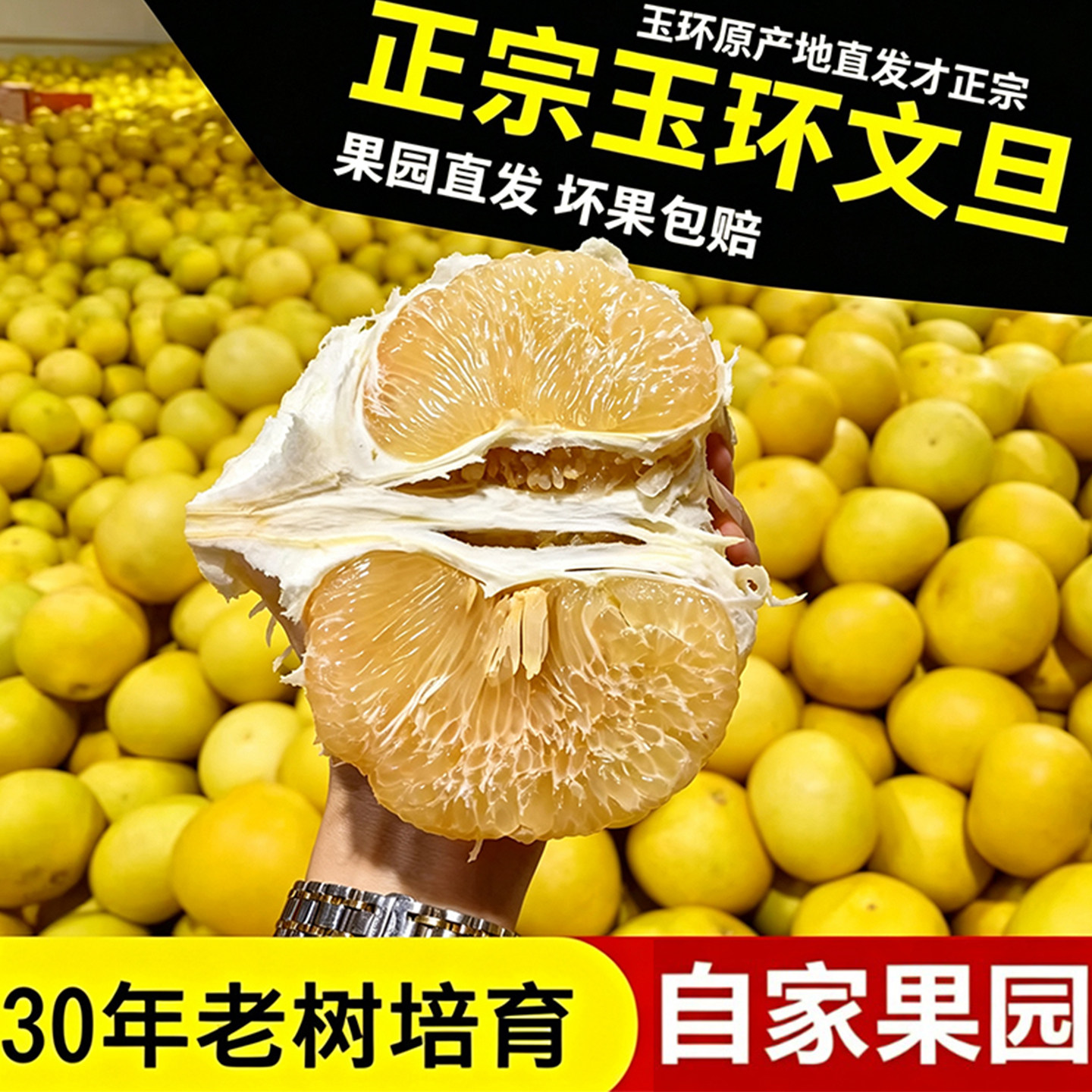 正宗台州玉环文旦柚3-20斤应季水果楚门文旦白肉蜜柚新鲜孕妇水果