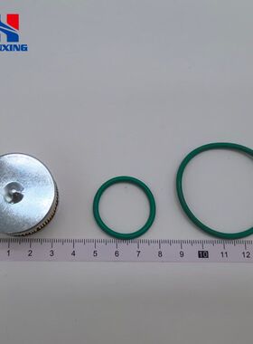 LPG/CNG汽车油改气AT09蓝色胶圈滤芯燃气汽车配件