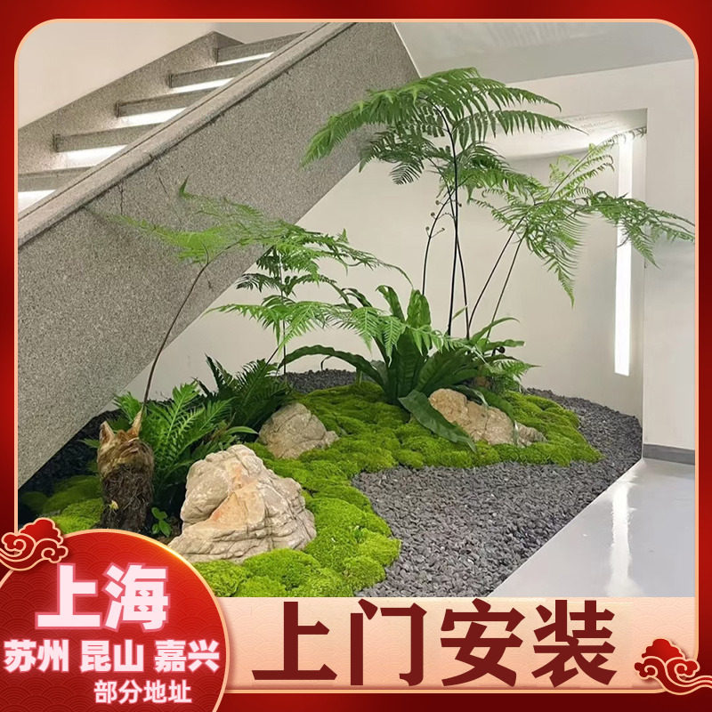 室内造景【鲜活绿植】办公室植物