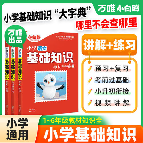 小白鸥小学基础知识与初中衔接