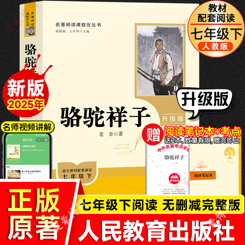 骆驼祥子升级版正版原著完整版人民教育出版社 老舍七年级下册人民教育出版社名著阅读名著阅读书中学教辅7年级下册课内外阅读包邮
