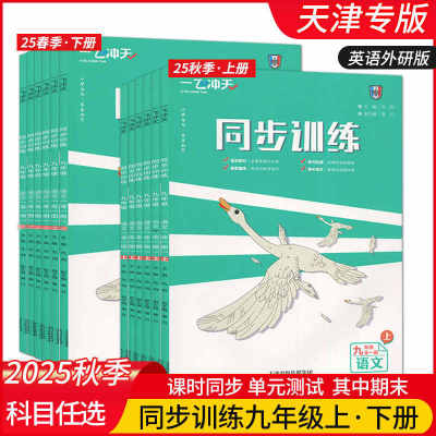 一飞冲天九年级课时作业