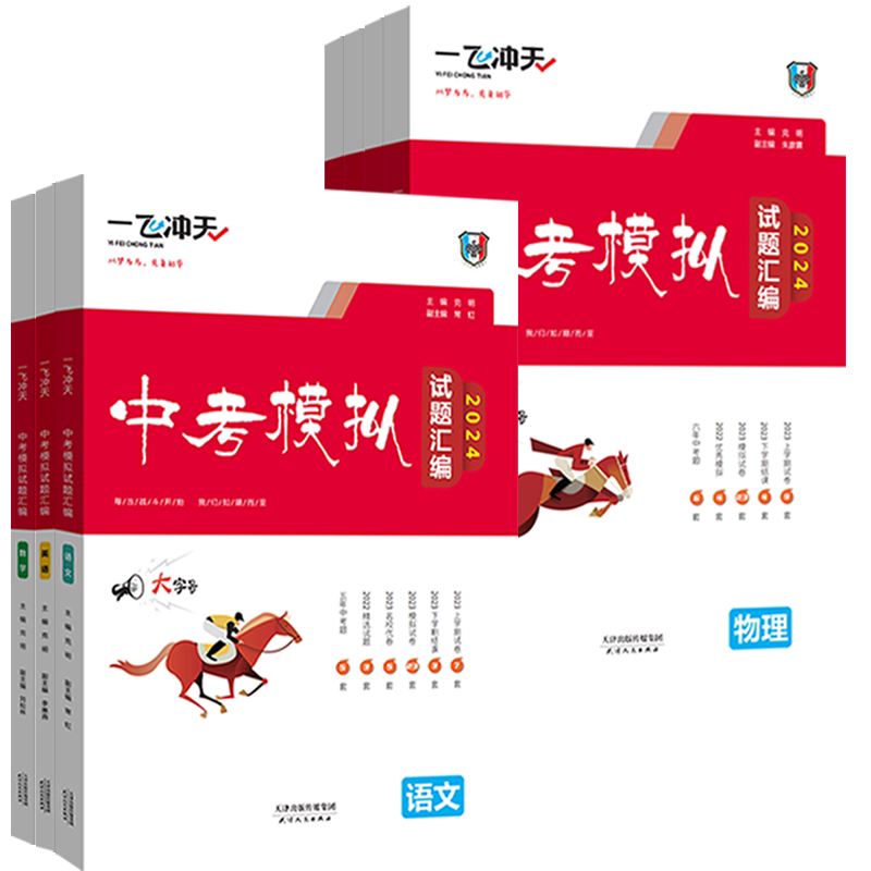 一飞冲天中考模拟试题汇编