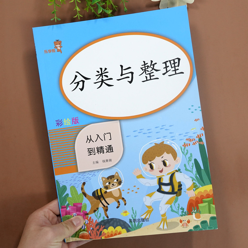 数学同步训练分类与整理专项练习