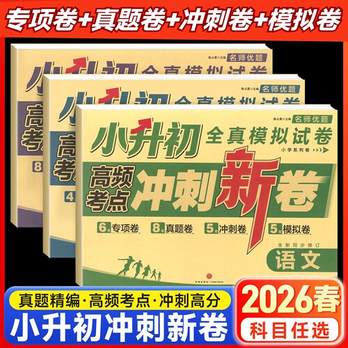 小升初语数英名师优题测试卷
