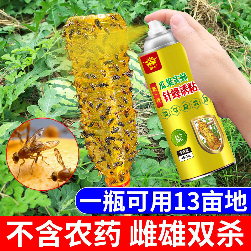 果蝇诱捕剂诱蝇球粘虫板喷剂瓜果实蝇诱粘剂菜果园果树针蜂引诱剂