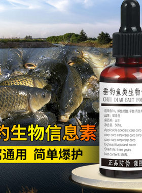 垂钓隐生物信息素钓鱼小药