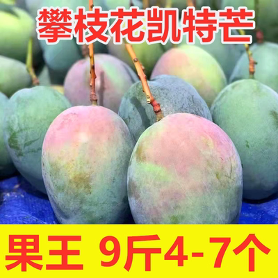 凯特芒9斤果王超级大超级甜