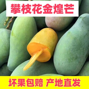 四川攀枝花金煌芒果当季整箱水果大青芒水果金煌芒
